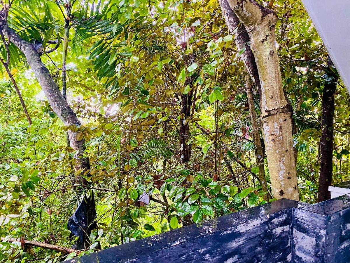 Nature Will Ahangama Ngoại thất bức ảnh