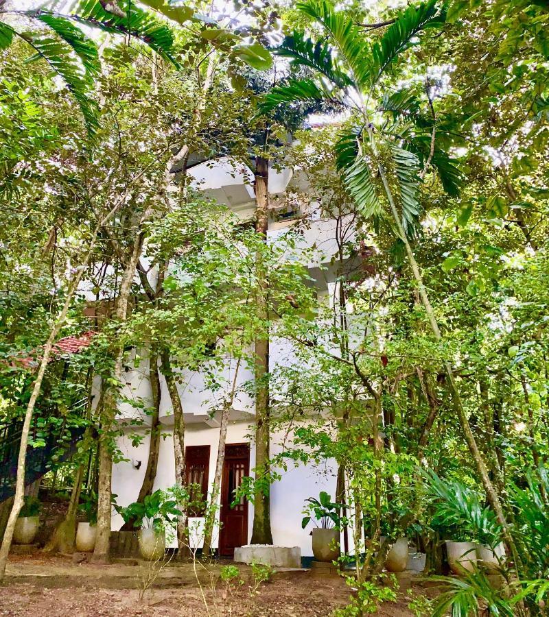 Nature Will Ahangama Ngoại thất bức ảnh