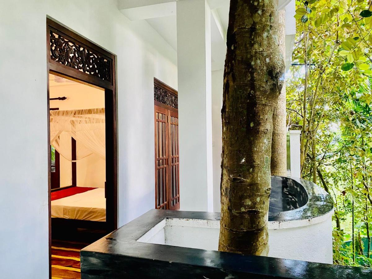Nature Will Ahangama Ngoại thất bức ảnh