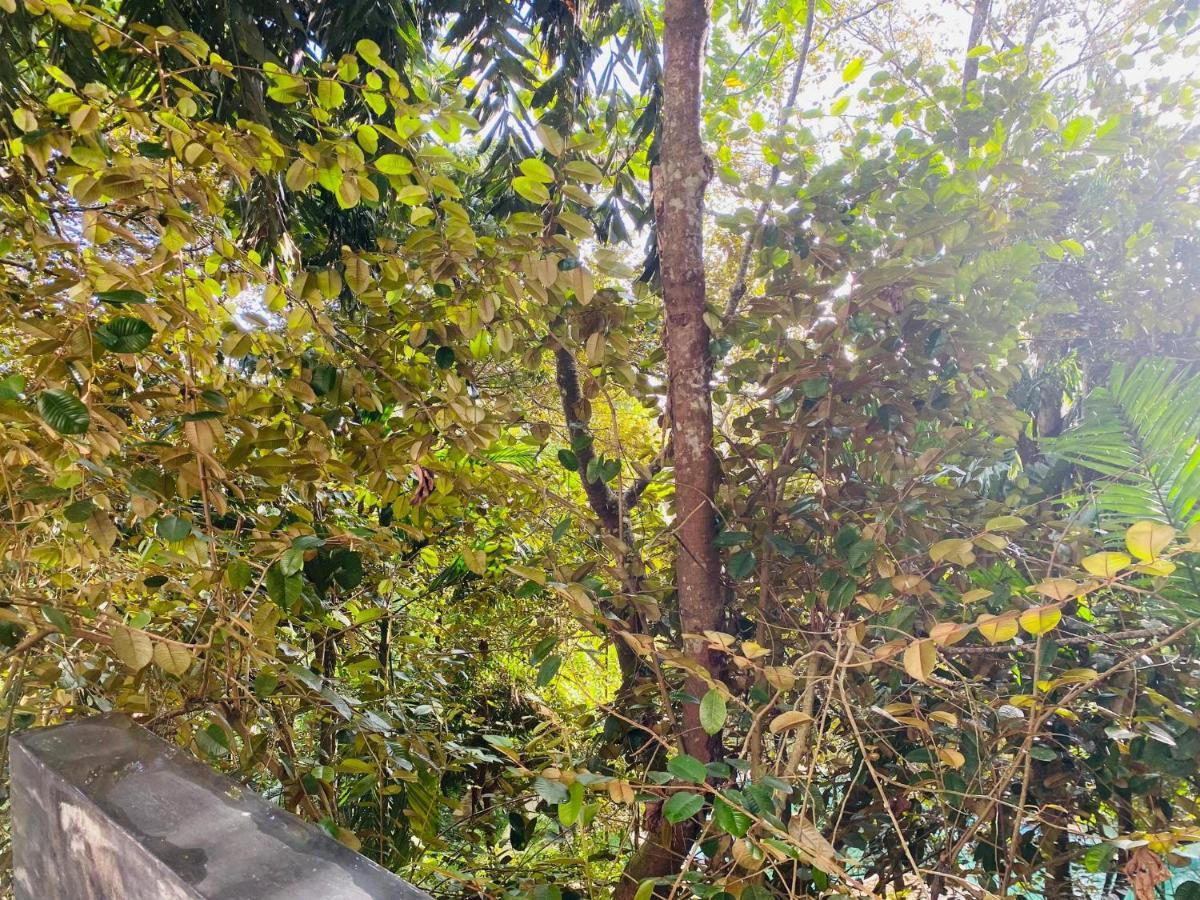 Nature Will Ahangama Ngoại thất bức ảnh
