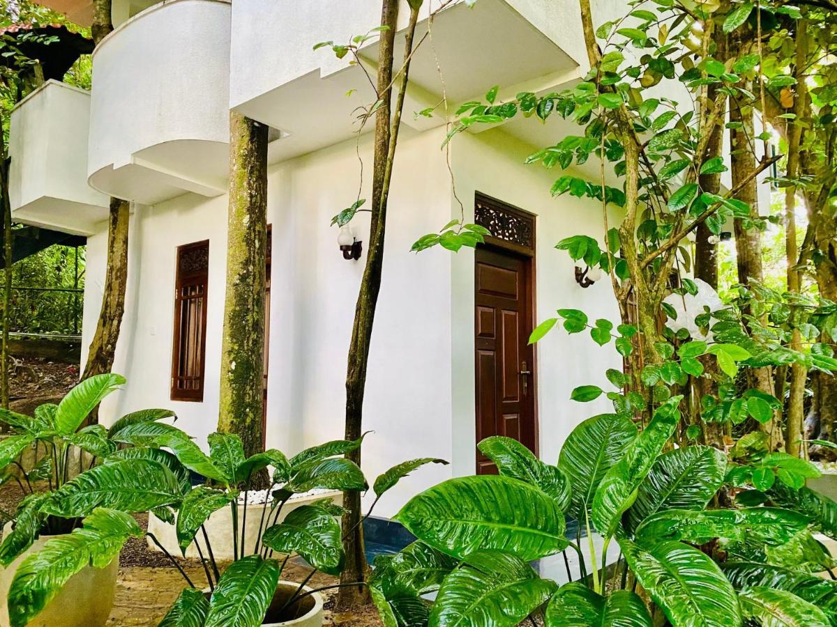 Nature Will Ahangama Ngoại thất bức ảnh