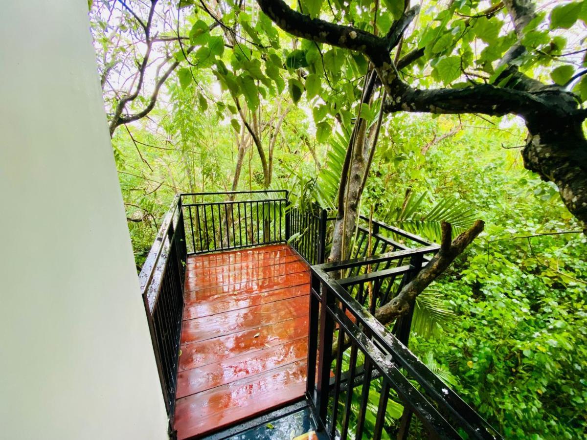 Nature Will Ahangama Ngoại thất bức ảnh