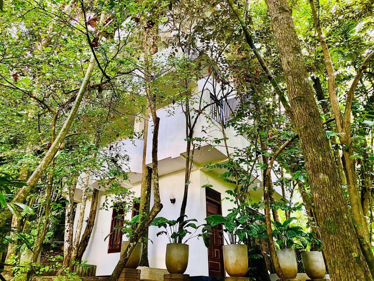 Nature Will Ahangama Ngoại thất bức ảnh