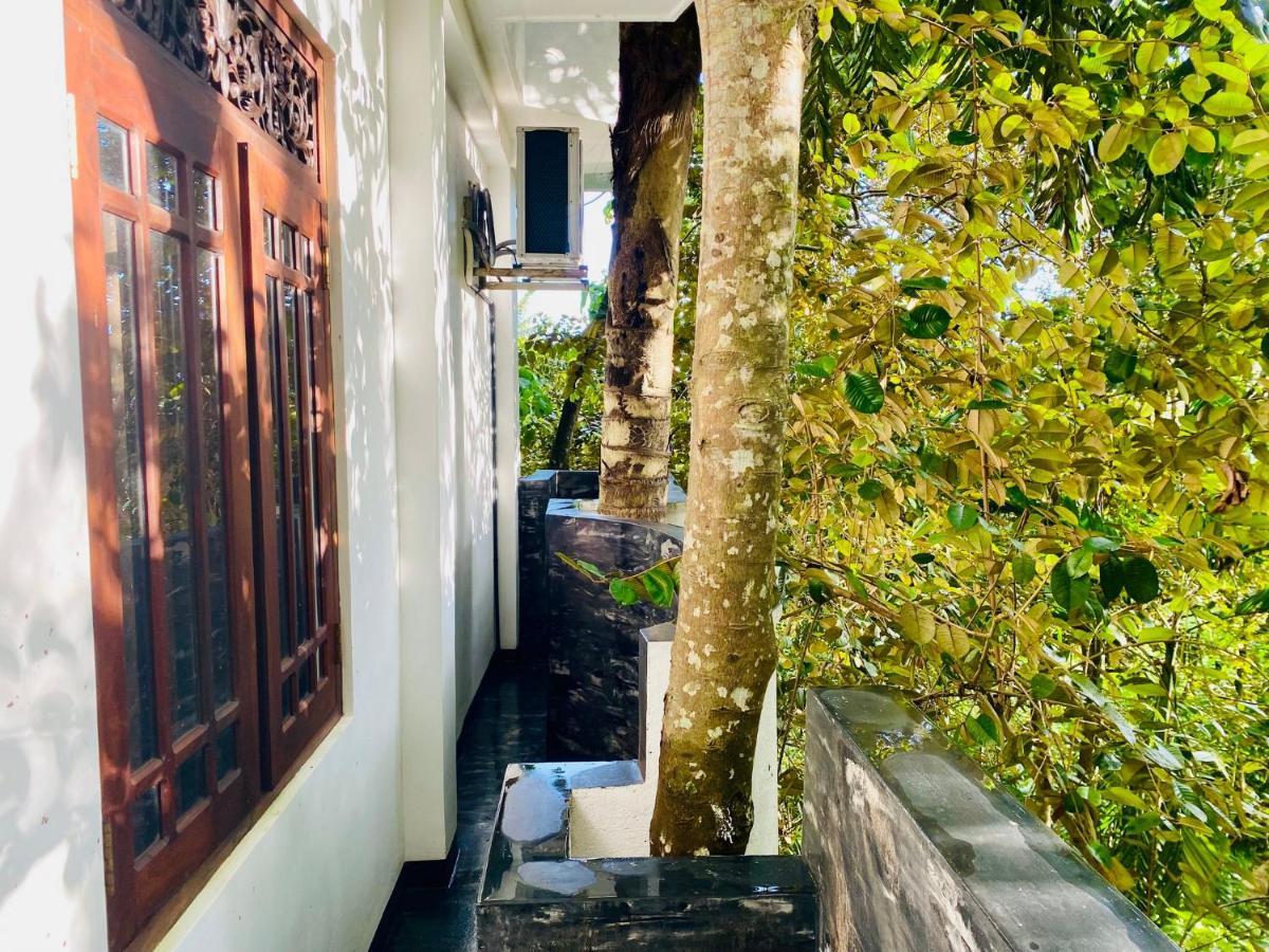 Nature Will Ahangama Ngoại thất bức ảnh