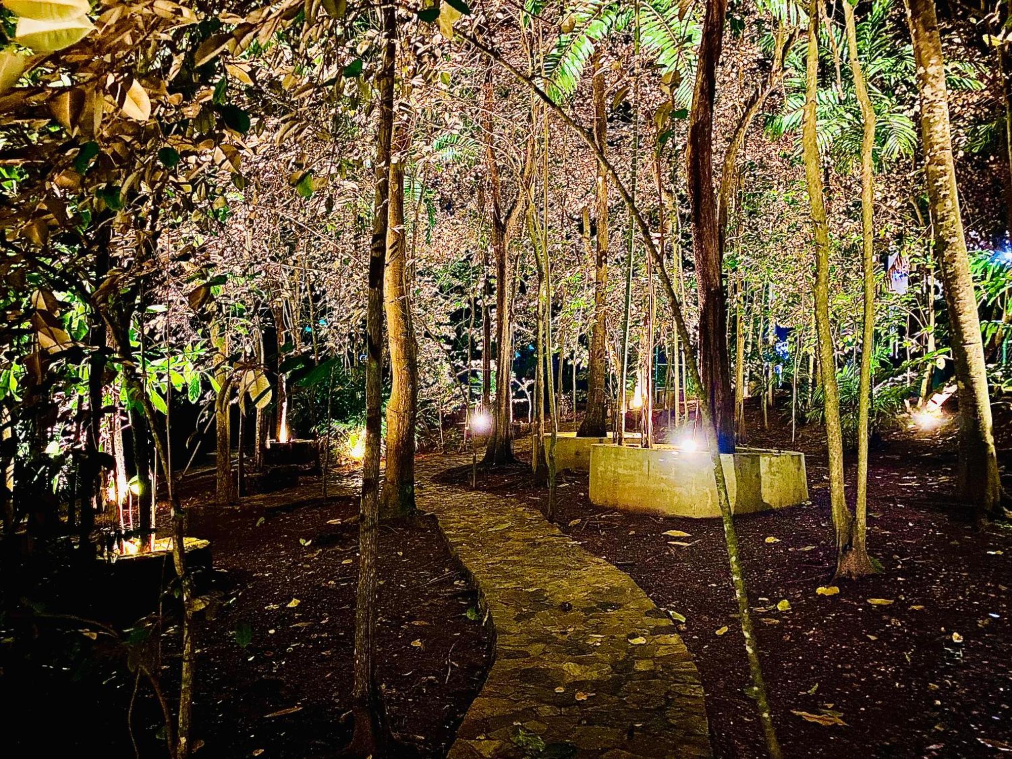 Nature Will Ahangama Ngoại thất bức ảnh