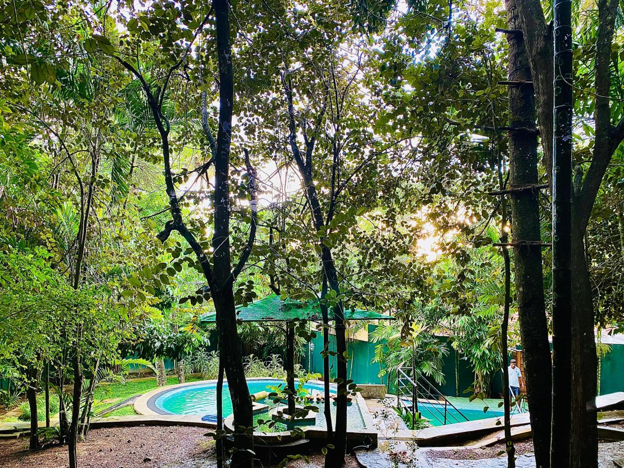 Nature Will Ahangama Ngoại thất bức ảnh